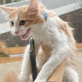 人生初の雪❄️を体験しました‼️ver.2