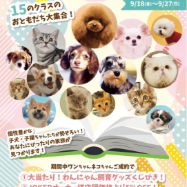 15種大集合❗️開催中‼️