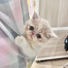 💓ぶちゃかわアイドルが入園しました💓