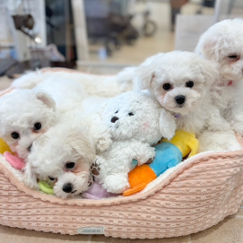 ☁️‼️ビジョン祭り開催中‼️☁️