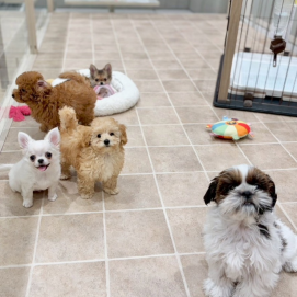 とっても仲良し🐣ジョーカー幼稚園🌱✨