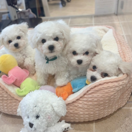 ☁️‼️ビジョン祭り開催中‼️☁️