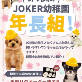 集まれ‼️ジョーカー幼稚園🐣年長組🩵