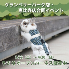 限定販売☆着せやすいハーネスです