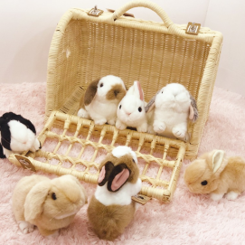 うさちゃんのぬいぐるみ販売中！