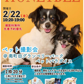 📷2/22(日)開催📷ペット撮影会のお知らせ
