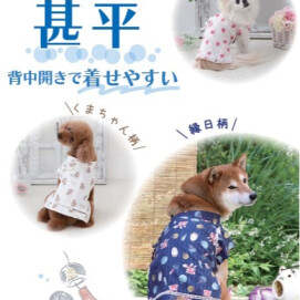 新商品！甚平のご案内🐻🍓