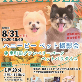 ペット撮影会のお知らせ