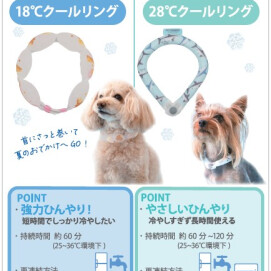 🧊ひんやり🧊クールリング発売中！