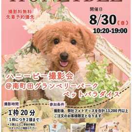 📷8/30(日)開催📷ペット撮影会のお知らせ