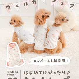 🐣はじめてタンク＆ロンパース🐣