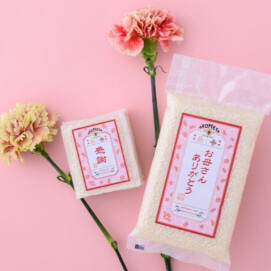 母の日フェア開催中