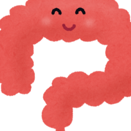腸の疲れを癒そう♪
