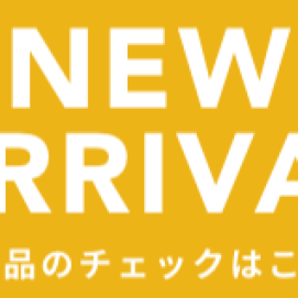 レデイース　スニーカー新作入荷！
