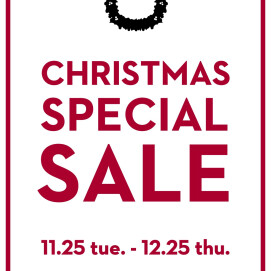 Christmas Special Sale