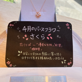 ⸜🌷︎⸝春のフラワージュエリー🌸