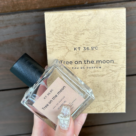 KT36.5℃待望の第2弾🌙ウッド系オススメ🤍＼Tree on the moon／