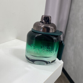 ＼お買い得価格👑コーチマングリーン／