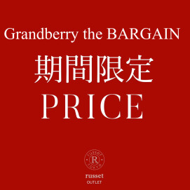 【CE-046】1/16(金)〜期間限定価格！