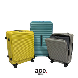 サル―トン（新型）入荷！！