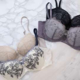 背中すっきりブラ　新色登場