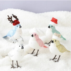 Xmas限定のミュージックバードが入荷しました🐥✨
