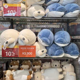 抗菌ネムネムクッションシリーズ2BUY10%OFF🐬🦭ブリーズプラスシリーズ20%OFF🚩
