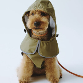 愛犬🐕愛猫🐈と過ごす時間をもっと大切に❤️ペット用品入荷しました🐾
