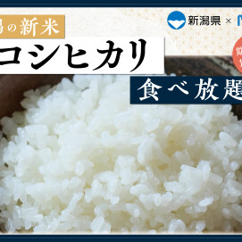 ＼新潟県産の新米『コシヒカリ』が食べ放題！／