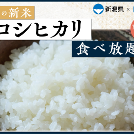 【10/9(金)〜10/15(木)限定】新潟の新米コシヒカリ食べ放題!! 点心＆麻辣湯と一緒に秋の味覚を満喫✨