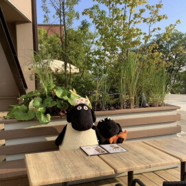 テラス席ワンちゃん大歓迎🐶🐑💓