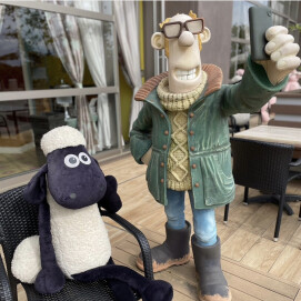 🐑ショーンビレッジの日常をご紹介‼︎🐑