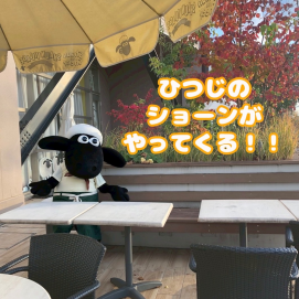 ひつじのショーンがやってくる🐏