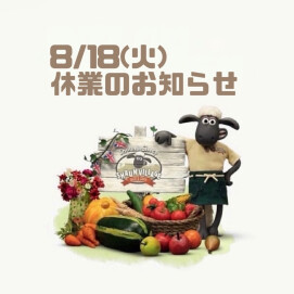 🐑休業日のお知らせ🐑
