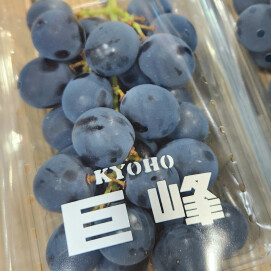 7月28日のおすすめ！ぶどう🍇『巨峰』🍇