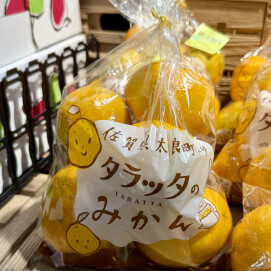 11月13日のおすすめ！佐賀県産『タラッタみかん』