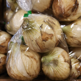 1月19日のおすすめ!『新たまねぎ』