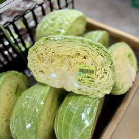 1月26日のおすすめ！群馬県産『キャベツ』