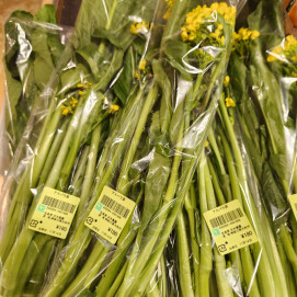 11月14日のおすすめ！『アスパラ菜』