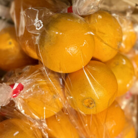 3月6日のおすすめ！熊本県産『ネーブルオレンジ』