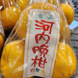 4月20日のおすすめ！『河内晩柑』