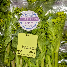3月14日のおすすめ！ファーム片山さんの『菜花』