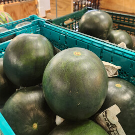8月2日のおすすめ！山形県産🍉『ひとりじめ西瓜』🍉