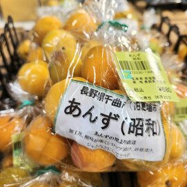 6月21日のおすすめ！あんず「昭和」