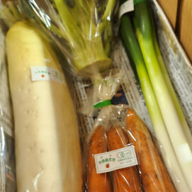 1月2日のおすすめ!新春初売り企画『福箱(新鮮野菜と産地直送みかんの箱セット)』発売!!