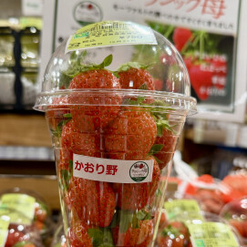 12月24日のおすすめ！クラシックいちご『かおり野』🍓
