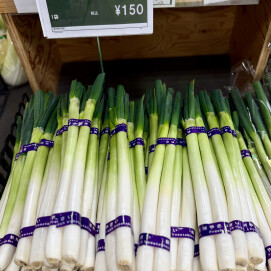 2月22日のおすすめ！自社農園生産『長ねぎ』