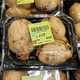 12月27日のおすすめ！『れんこん』