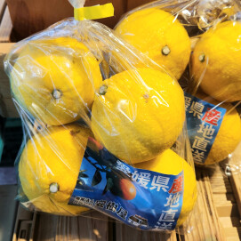 3月19日のおすすめ！柑橘『はるか』