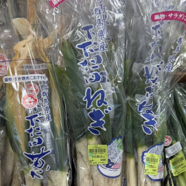 1月22日のおすすめ!お鍋に『下仁田ねぎ』